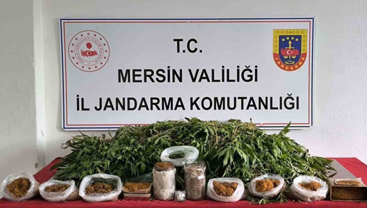 Mersin’de uyuşturucu operasyonu: 1 gözaltı