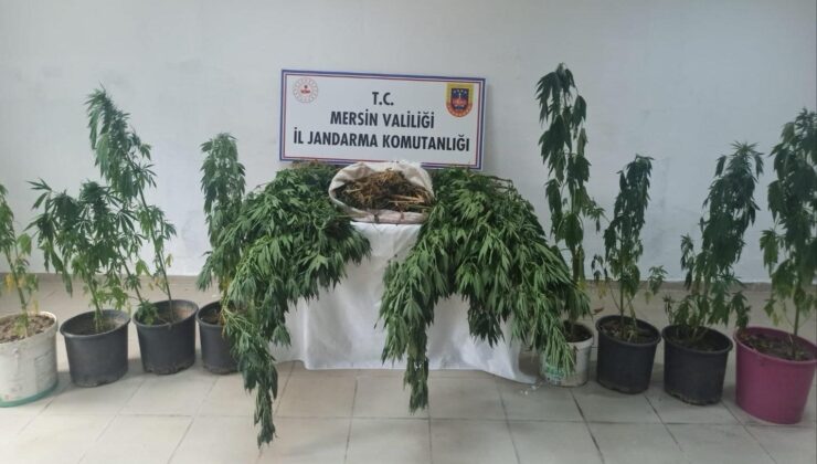 Mersin’de uyuşturucu operasyonu: 6 gözaltı