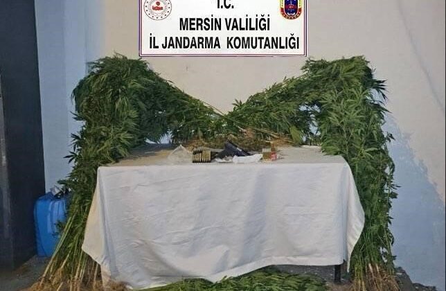Mersin’de uyuşturucu üretip satan şüpheli yakalandı