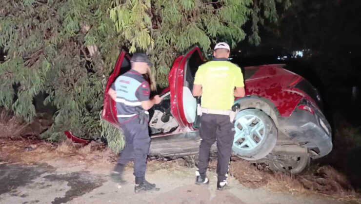 Otomobil ağaca çarptı, 2 kişi ağır yaralandı