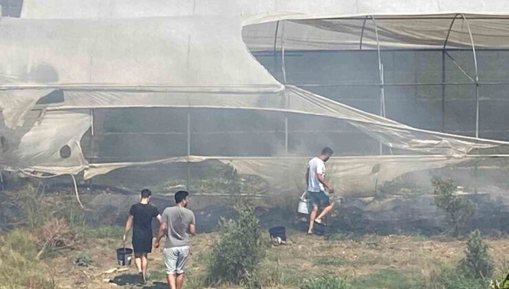 Serik’te korkutan yangında seralar zarar gördü