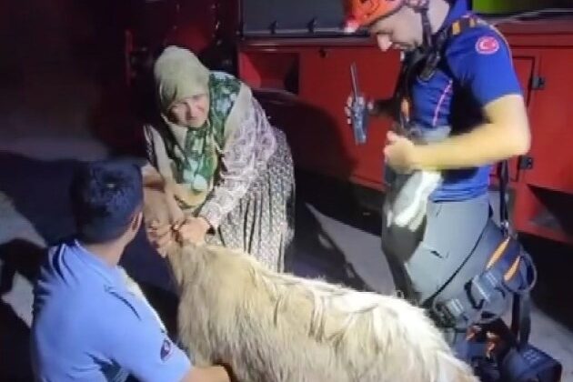 Su kuyusuna düşen keçi kurtarıldı