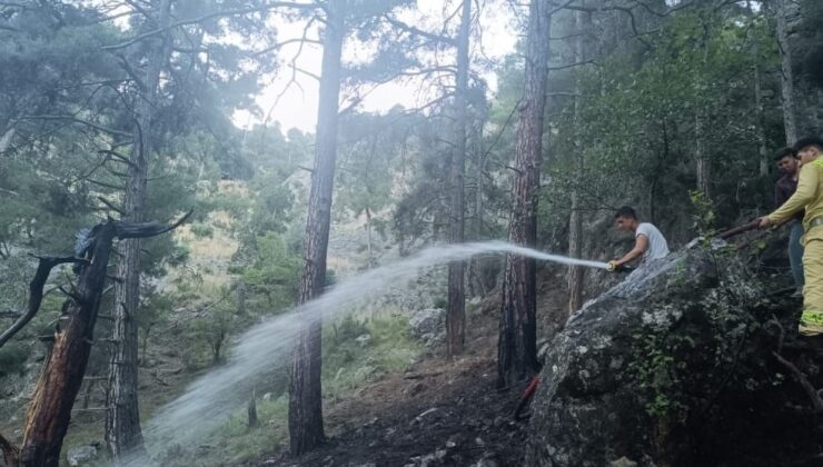 Tarsus’ta orman yangını kısa sürede söndürüldü