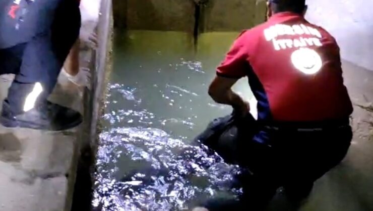 Tarsus’ta sulama kanalında erkek cesedi bulundu