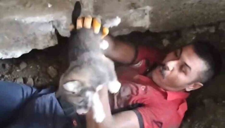 Yavru köpeği sıkıştığı yerden itfaiye ekipleri kurtardı