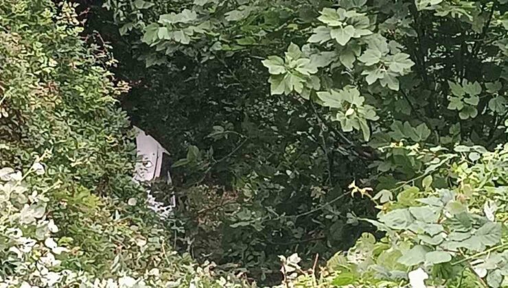 Yayla yolunda uçurumdan uçan araçtaki 2 kişi yaralandı