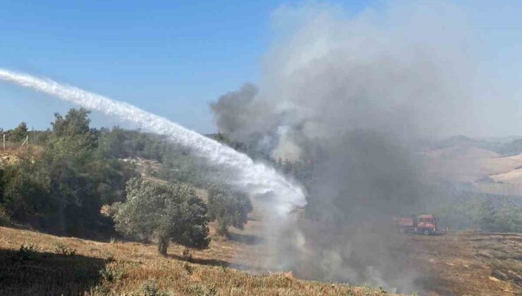 Adana’da anız yangını, orman yangınına dönüştü