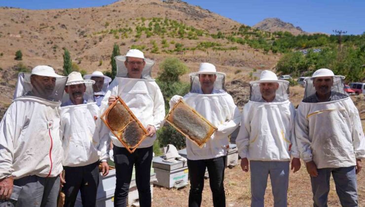 Adana’da bal hasadı başladı