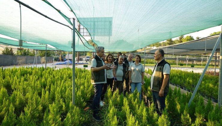 Adana’da orman varlığı yüzde 2.3 arttı