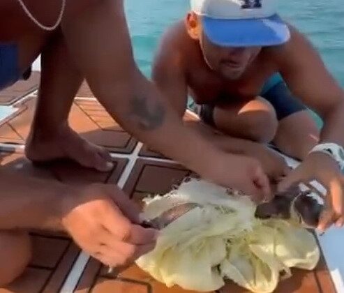 Alanya’da çuvala dolanan caretta caretta yavrusu kurtarıldı