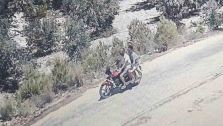 Alkol alıp ormanı yaktılar, devleti milyonlarca lira zarara uğrattılar