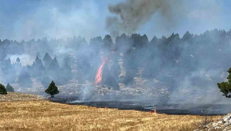 Anız yangını ormana sıçradı, ekipler müdahale ediyor