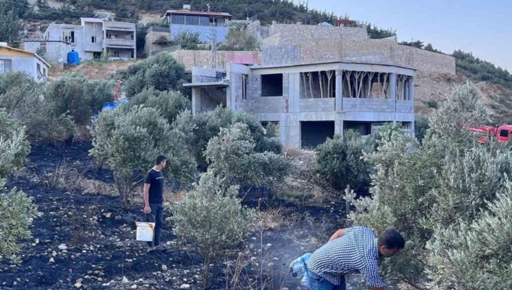Antakya’da zeytinlik alanda çıkan yangın büyümeden söndürüldü