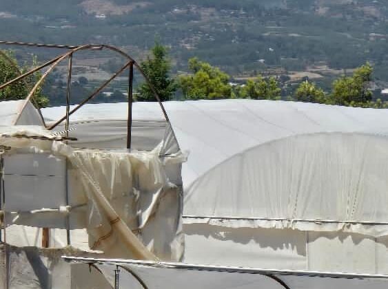 Antalya’da orman yangını