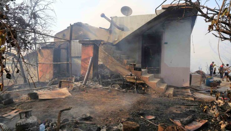 Arı kovanlarını tütsülemek için yakılan ateş ormana sıçradı, bir ev ve traktör küle döndü