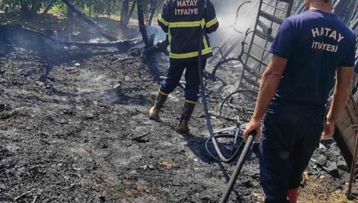 Arsuz’da bahçe yangını