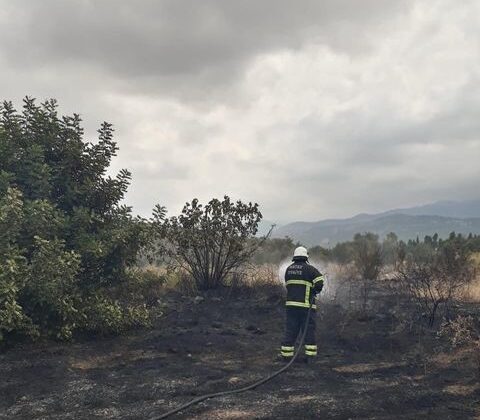 Arsuz’da otluk alan yangını