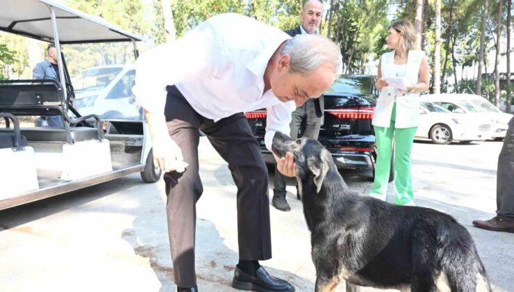 Başkan Kocagöz’den ’Köpek yakıldı’ iddialarına cevap