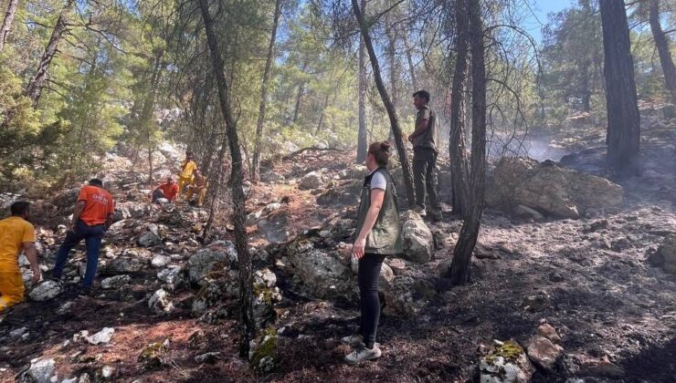 Burdur’da yıldırım düşmesiyle çıkan orman yangını ekiplerin hızlı müdahalesi ile söndürüldü