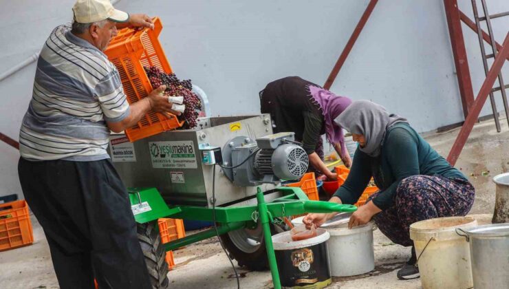 Çiftçilere salça ve üzüm sıkma makinesi desteği
