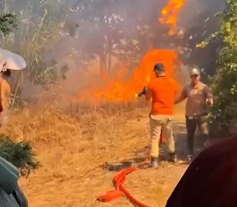 Çiftlikte çıkan yangın kontrol altına alındı