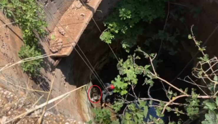 Demre’de 10 metrelik kuyuya düşen köpek, itfaiye operasyonuyla kurtarıldı