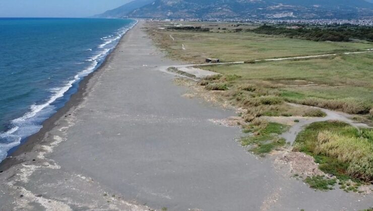 Deniz kaplumbağalarının ölüme yürümemesi için Erol öğretmen nöbette