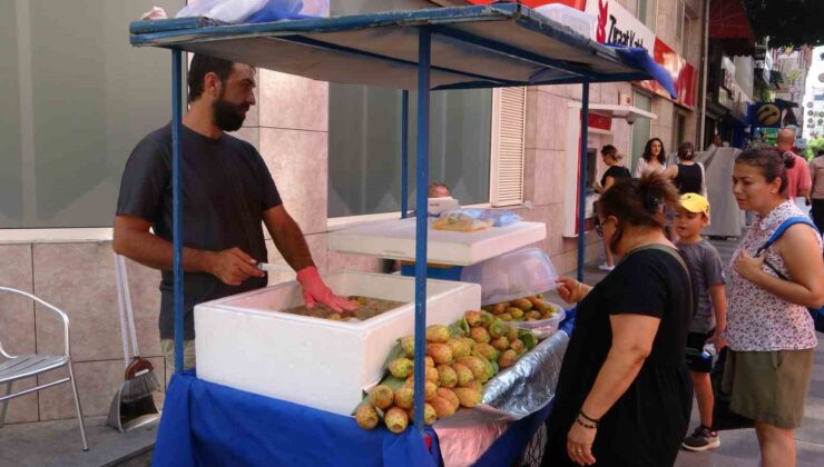 Dikenli incir tezgahlarda yerini aldı: Tanesi 10 lira