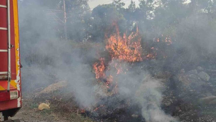 Dörtyol’da çıkan ot yangını itfaiye ekiplerin müdahalesiyle söndürüldü