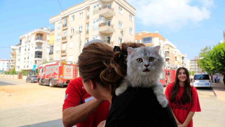 Elektrik tesisatından gelen sesle binayı boşalttı, kısa süre sonra binayı dumanlar kapladı