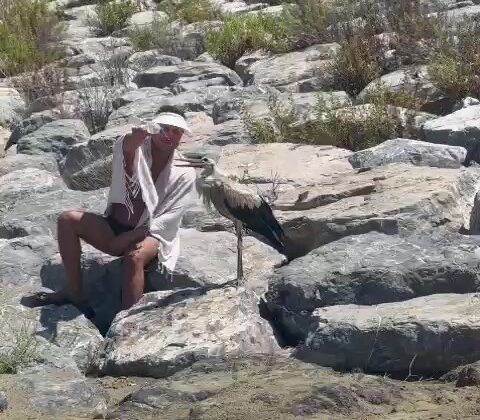 Göç yolunda yorgun düşen leyleği elleriyle beslediler
