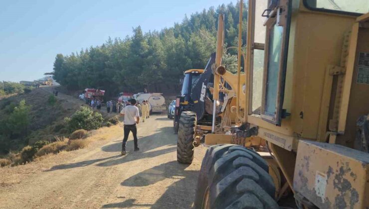 Hatay’da orman yangını