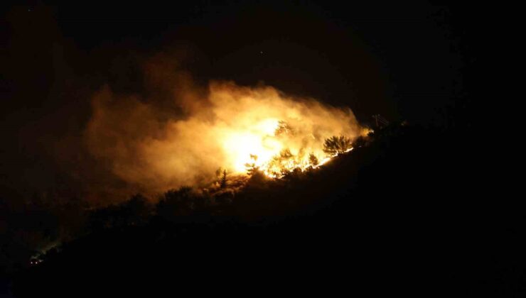 Hatay’da orman yangını