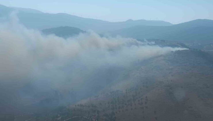 Hatay’da orman yangını