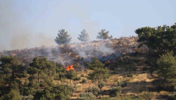Hatay’daki orman yangınına havadan helikopterler ve uçakla müdahale ediliyor