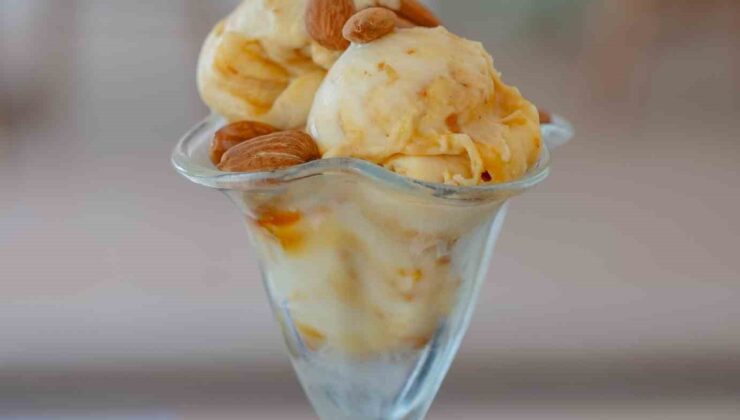 Hem sağlıklı, hem lezzetli: “Keçi sütü ballı bademli dondurma”