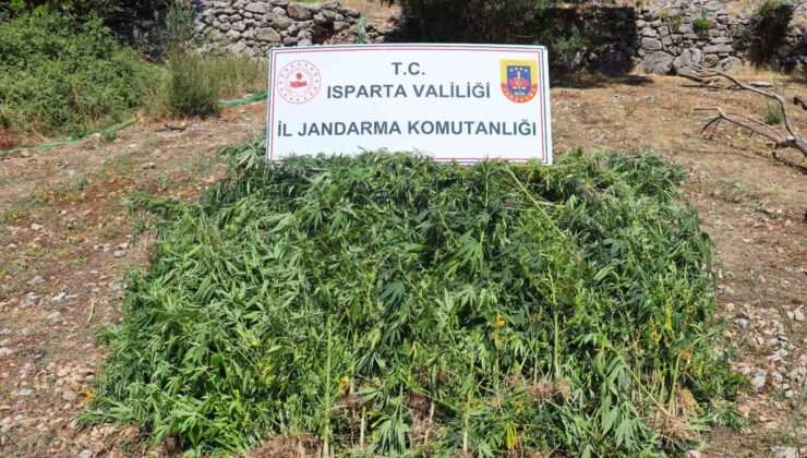 Isparta’da uyuşturucu operasyonu: Çok sayıda malzeme ele geçirildi