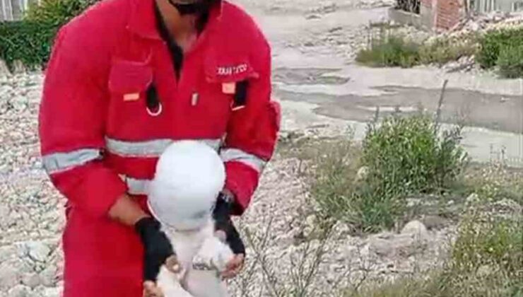 Kafasını bidona sıkıştıran yaramaz köpeğin yardımına itfaiye yetişti