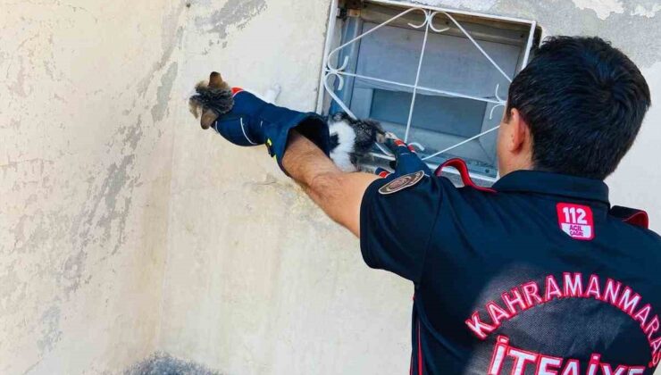 Kahramanmaraş’ta kedi sıkıştığı yerden kurtarıldı