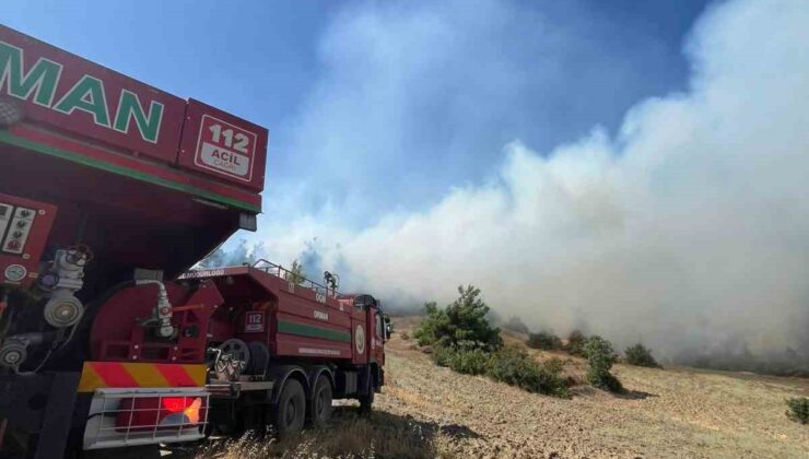 Kahramanmaraş’ta orman yangını