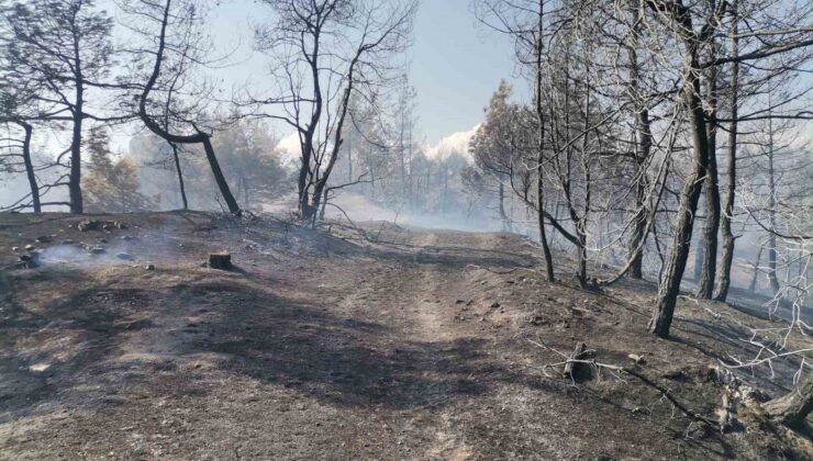 Kahramanmaraş’taki orman yangını büyük ölçüde kontrol altına alındı