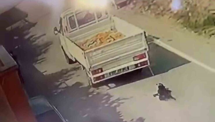 Kamyonetin arkasında sürüklenen köpeğin sahibi ’kasadan düştü’ dese de gözaltına alındı