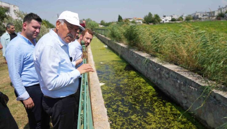 Karalar, hemşehrilerine sivrisinekle topyekun mücadele çağrısı yaptı