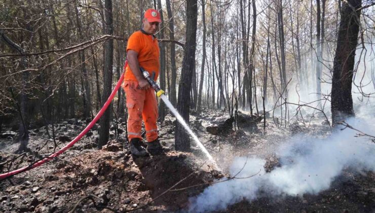 Kırsal alanda çıkan yangın 3 sera ve ormanlık alana zarar verdi