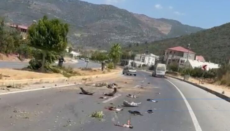 Kontrolden çıkan otomobil ağaçları devirip karşı şeride geçti: 4 kişi yaralandı