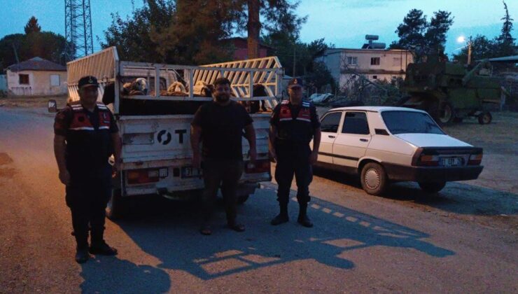 Koyunları çalıp sattı, eğlence mekanında yakayı ele verdi