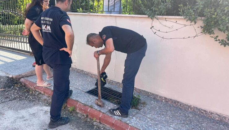 Mazgalda mahsur kalan köpeği itfaiye ekipleri kurtardı