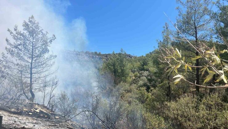 Mersin Silifke’de orman yangını