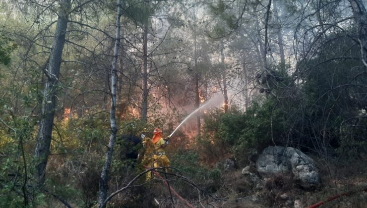 Mersin’deki orman yangını kontrol altına alındı, 3 hektar alan zarar gördü