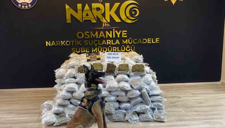 Osmaniye’de durdurulan tırda 166 kilo 700 gram skunk ele geçirildi